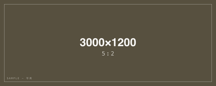 テスト証明書 — パノラマ 5:2
